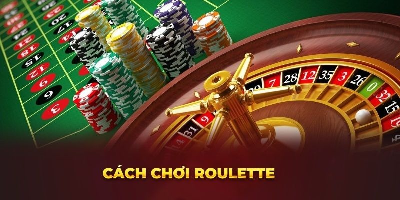 Tổng hợp các cửa cược phổ biến trong cách chơi Roulette